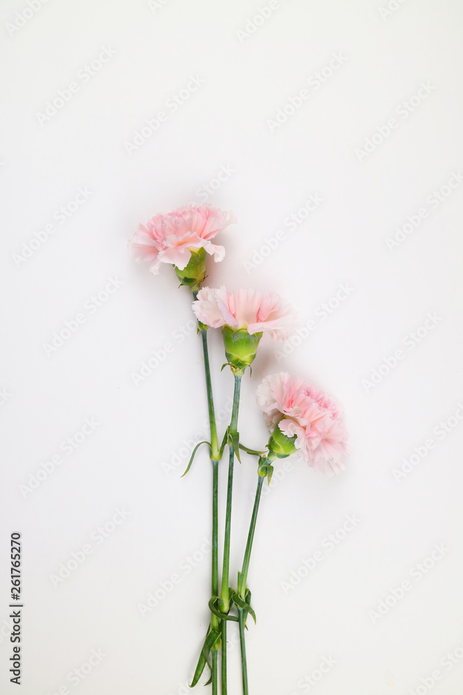 아름다운 봄 꽃, 리빙코랄 컬러 카네이션,안개꽃,장미 아름다운 봄 꽃, 리빙코랄 컬러 카네이션,안개꽃,장미