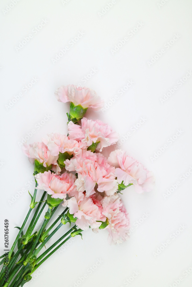 아름다운 봄 꽃, 리빙코랄 컬러 카네이션,안개꽃,장미 아름다운 봄 꽃, 리빙코랄 컬러 카네이션,안개꽃,장미