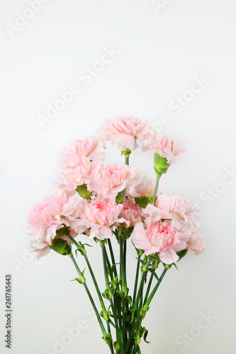 아름다운 봄 꽃, 리빙코랄 컬러 카네이션,안개꽃,장미 © LHG