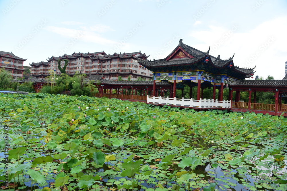 Lotus Pavilion and Lotus Lotus Pavilion and Lotus