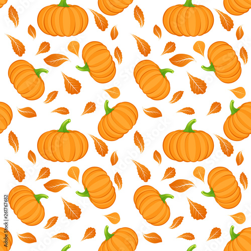 Seamless pattern on white background with orange pumpkin. Pumpkin vegetable. Autumn background. Vector illustration. © vandycandy