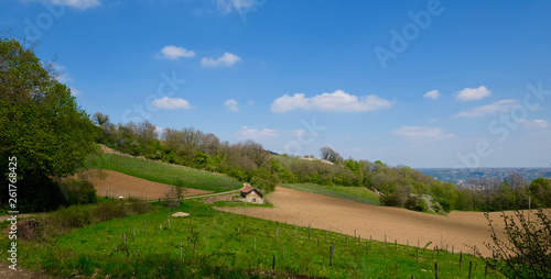 mont d'or lyonnais 1