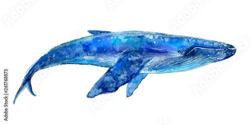 Big Blue Whale .Watercolor hand drawn illustration.Underwater animal art. White background.