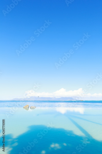 Swimming pool seaside view and blue sky at sunny day scene with palm tree shadow on the water, vertical composition