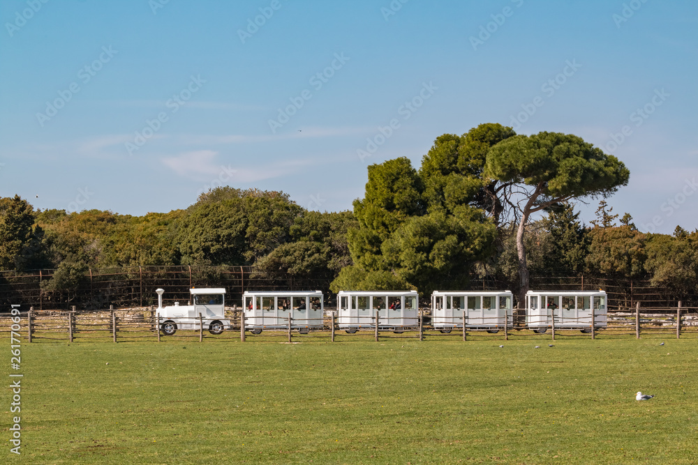 Touristic road-train driving through a safari park in national park Brioni, Croatia Touristic road-train driving through a safari park in national park Brioni, Croatia
