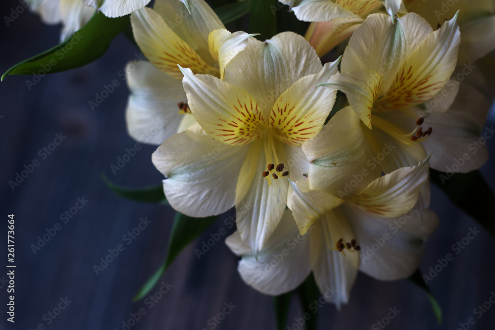 Flower bouquet Flower bouquet