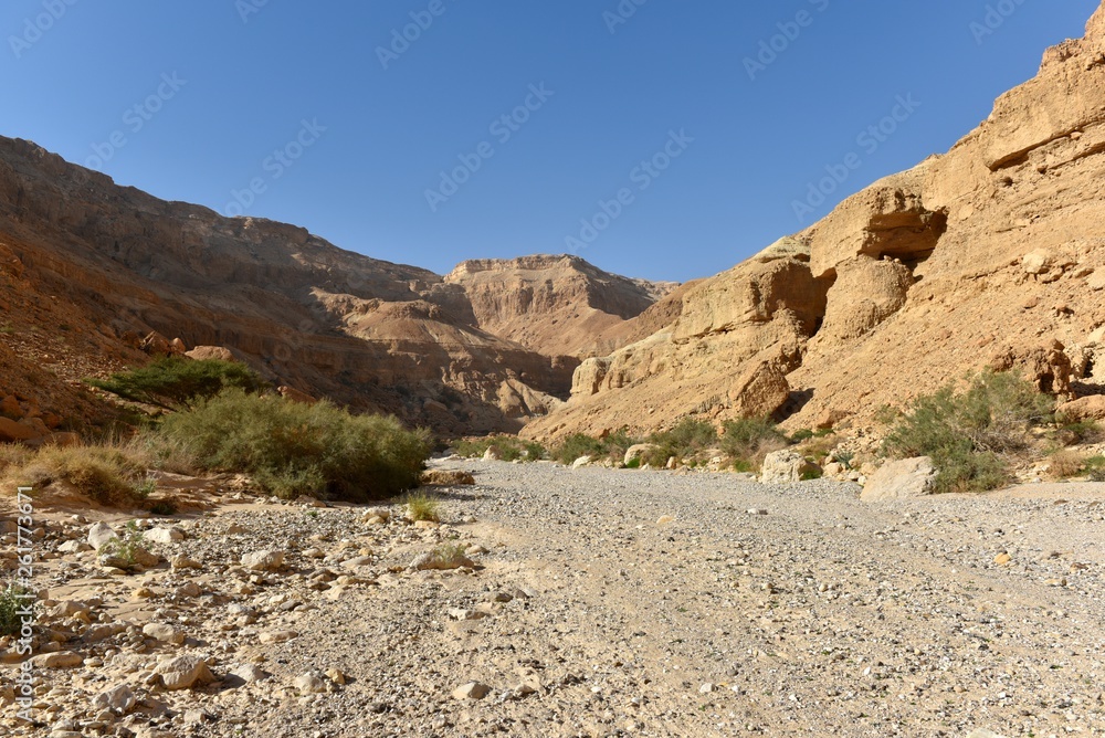 Scenic mountain landscape in wadi Heymar, Judea desert, Israel