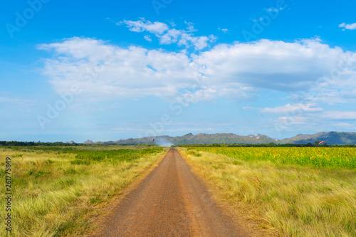 Countryside road with blue sky and clouds. Adventure travel background.