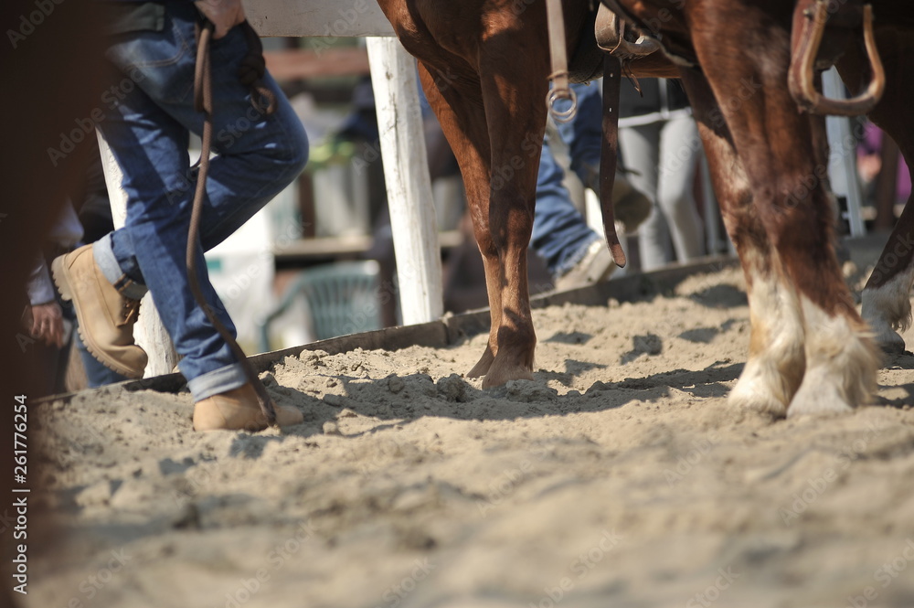 Horse and cowboy feet