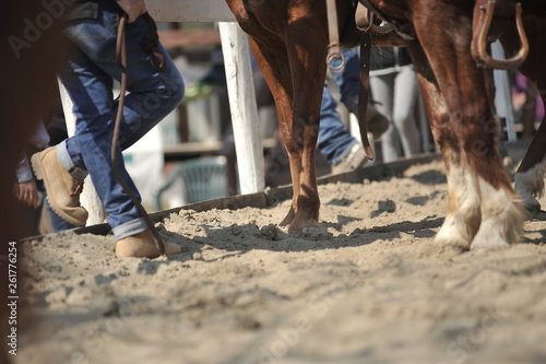 Horse and cowboy feet