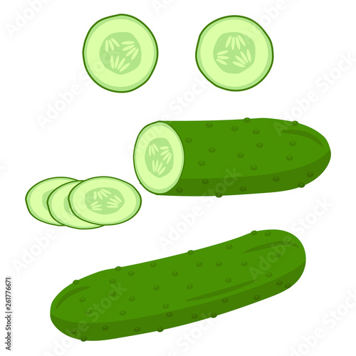 Cucumber set. Vector illustration. Isolated.
