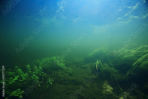 underwater landscape transparent lake   fresh water ecosystem unusual landscape under water