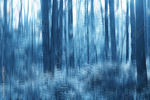 forest snow blurred background   winter landscape snow-covered forest  trees and branches in winter weather