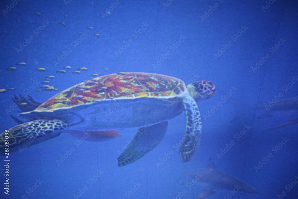 Fototapeta premium Expo in Astana