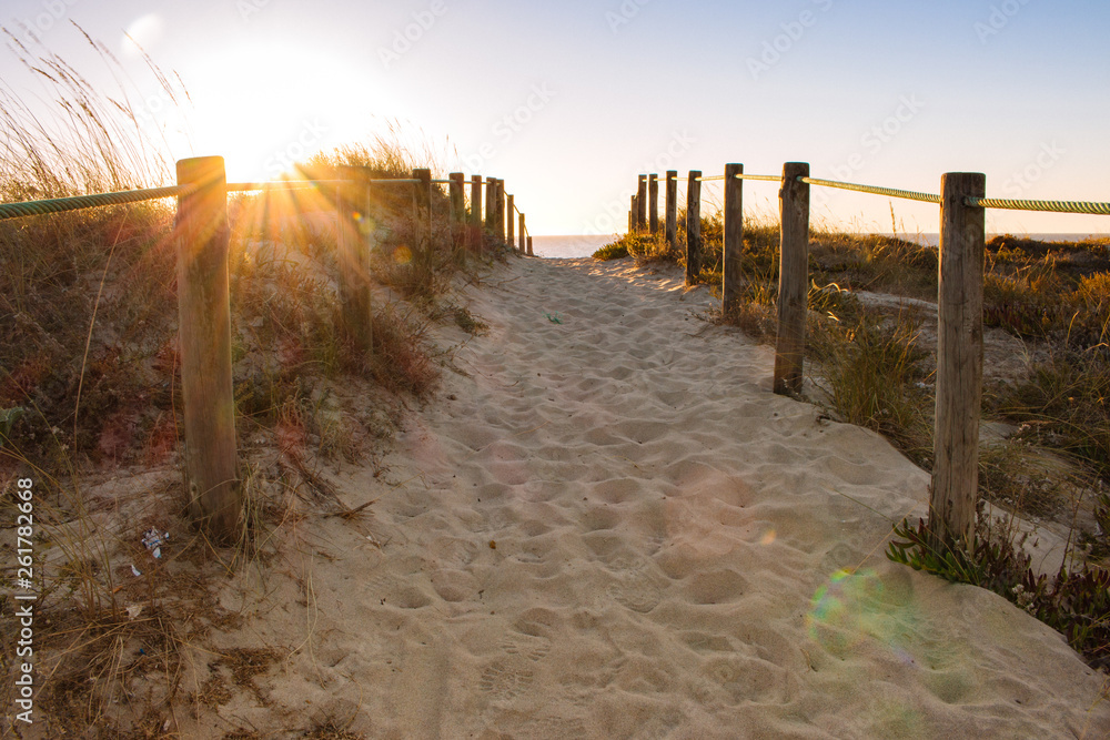 Scenic sunset on beach with wooden fence. Entrance to beach in evening sunlight. Way to the beach. Sunny beautiful evening on ocean coast. Wooden columns and path on sand. Travel and tourism concept. 