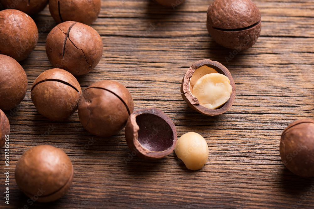 A lot of macadamia nuts in a closed shell. Macadamia nuts. A lot of macadamia nuts in a closed shell. Macadamia nuts.