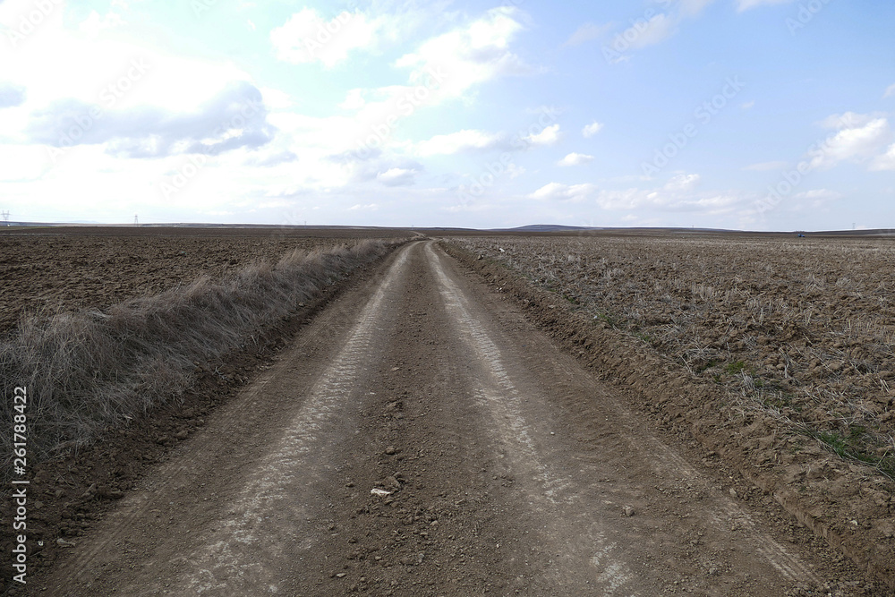 Naklejka premium dirt road in the field,