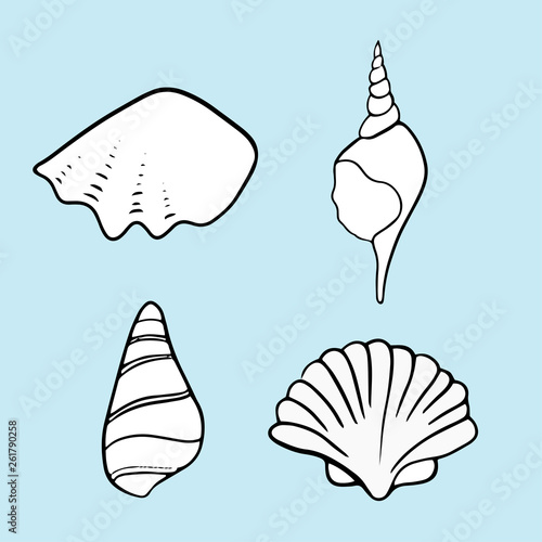 Seashell summer vector illustration 