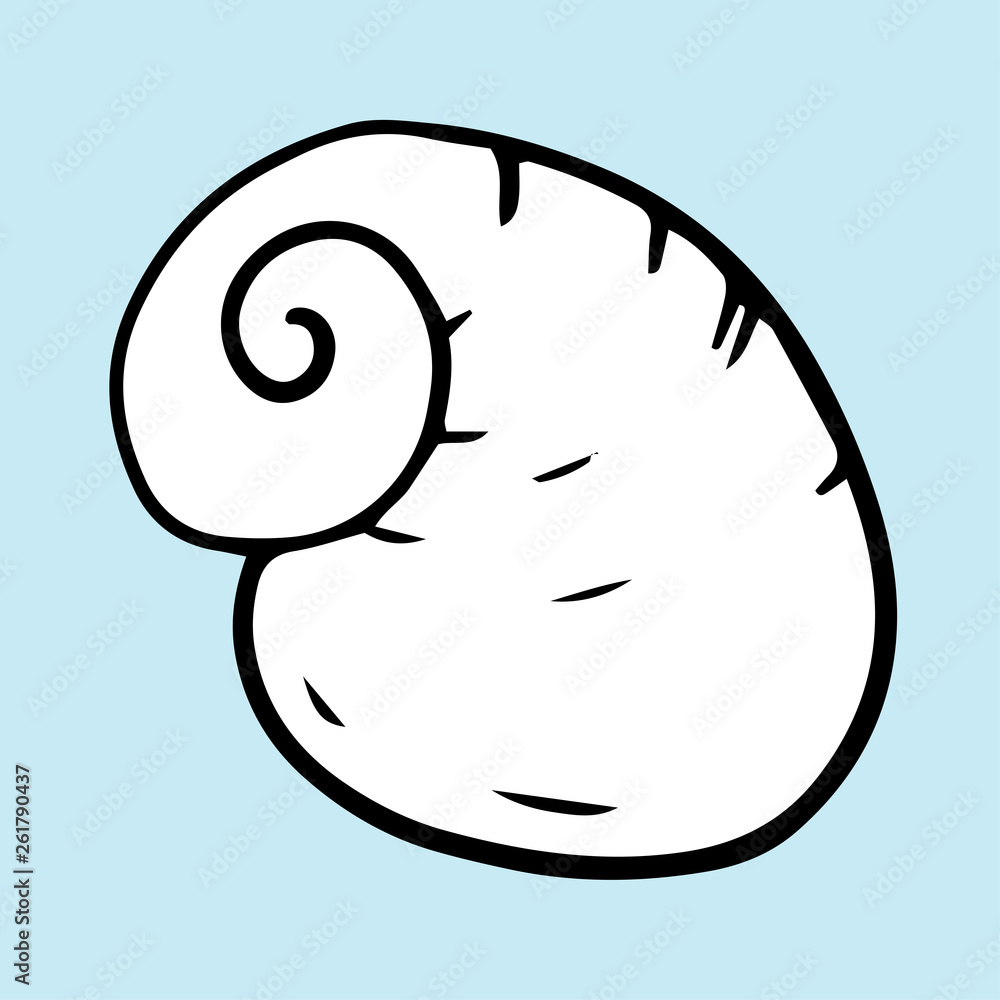 Seashell summer vector illustration Seashell summer vector illustration