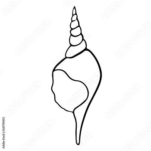 Seashell summer vector illustration 