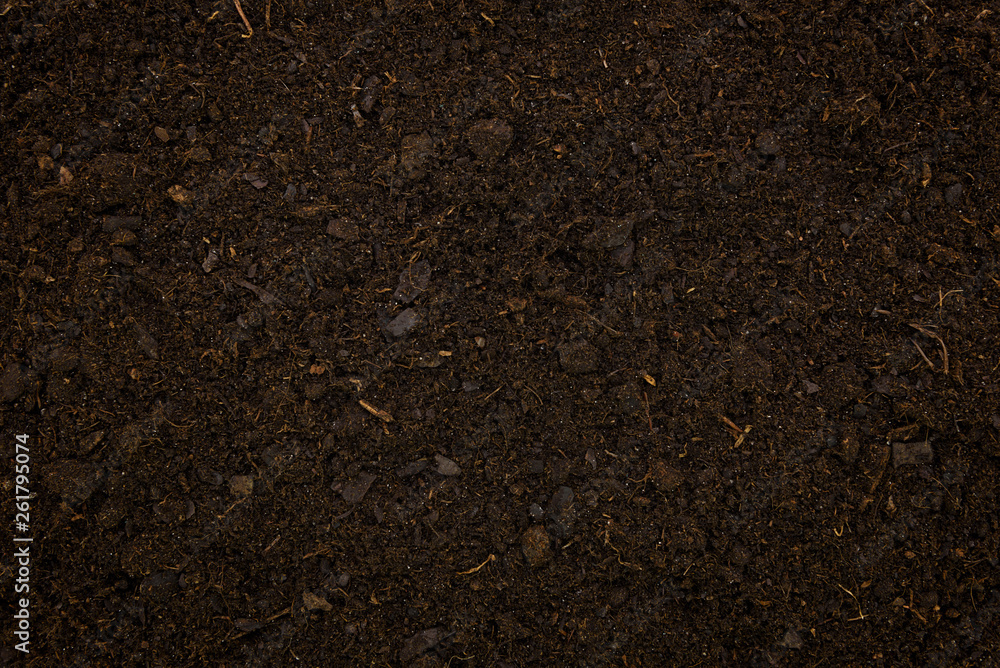 Close-up of organic soil surface backgrounds (high details) Close-up of organic soil surface backgrounds (high details)