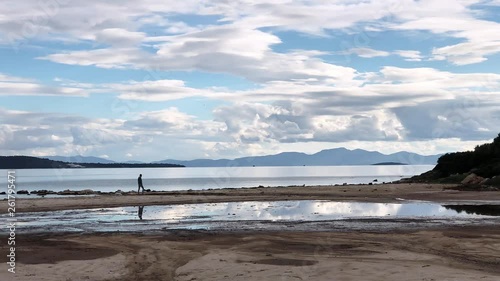 Silhouettes of man and dog walking on the edge of coast at sunset.