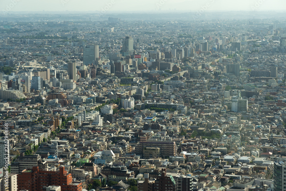 Aerial Tokyo city.