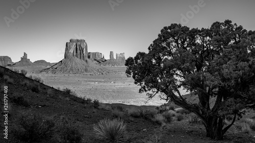 Canvastavla Monument Valley Black and white with tree and cloudless sky
