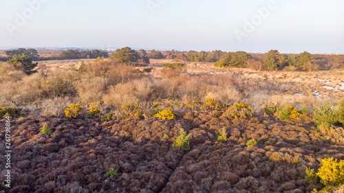An aerial view of the Studland Nature Reserve with sand dune and peat bog under a majestic hazy blue sky