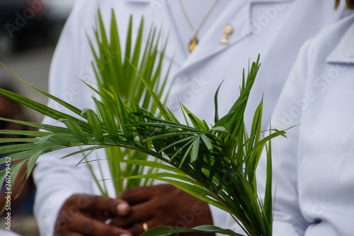 Holy Week Palm Sunday photo