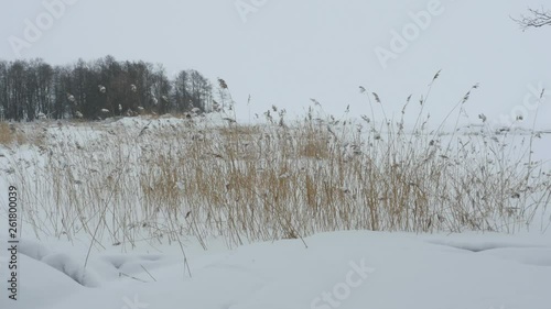 Wallpaper Mural Lakeside white winter landscape Torontodigital.ca