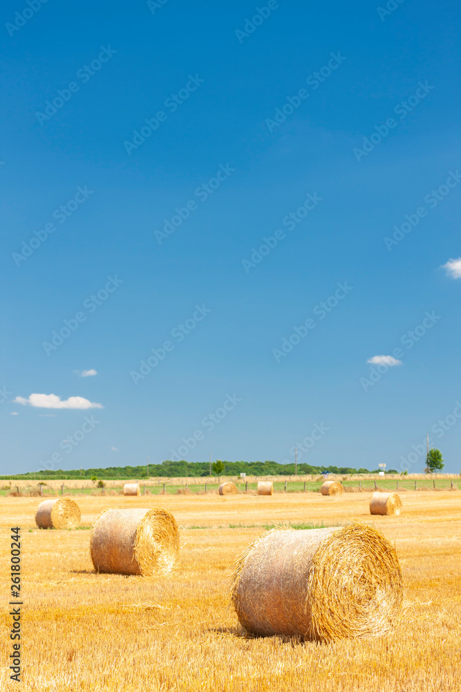 field with straw