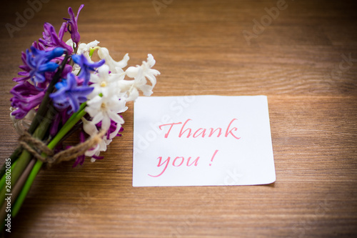 spring beautiful flowers of a hyacinth with a thank you card