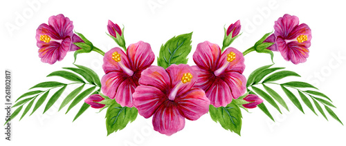 Hand drawn watercolor painting  with pink Chinese Hibiscus rose flowers isolated on white background