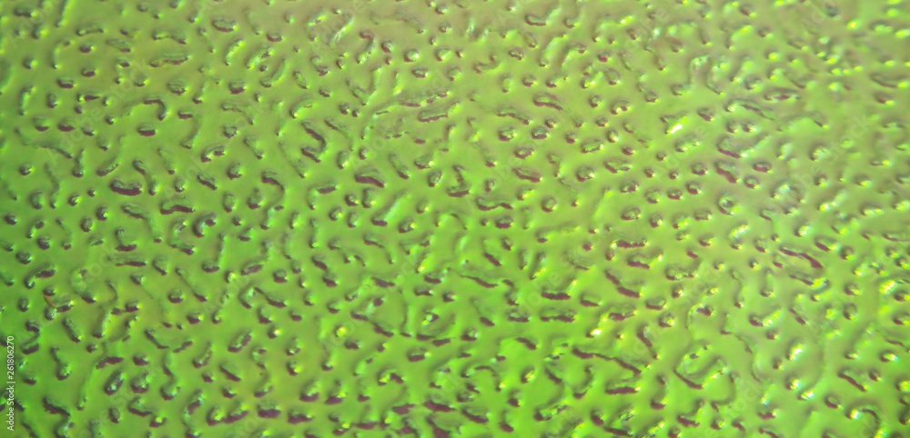 Metallic multi-colored shiny texture. Close up. Metallic multi-colored shiny texture. Close up.