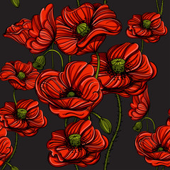 Acrylglasbilder Mohnblumenmuster Handgezeichnete Mohnblumen Florales Muster  © filkusto