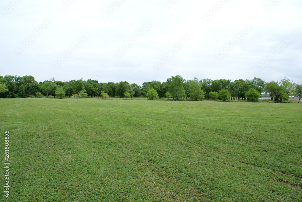 Scenic Field Scenic Field