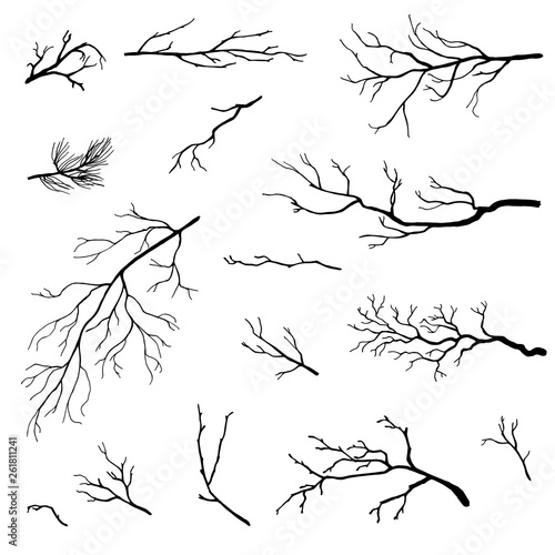 hand drawn branches set, vector