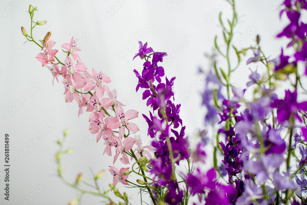 Fototapeta premium Bouquet of purple wildflowers on a white background