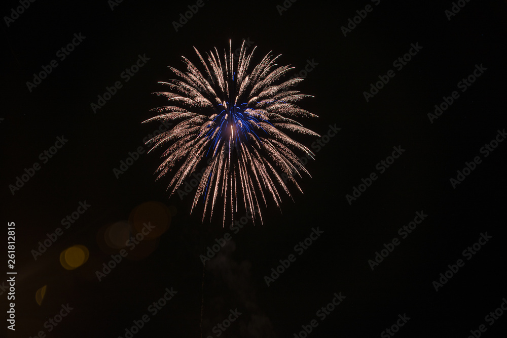 Fireworks in the black sky