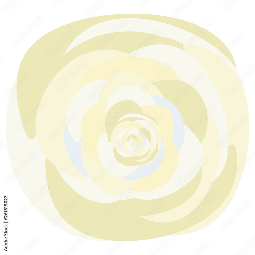 Rosa blanca Rosa blanca