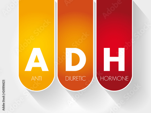 ADH - Antidiuretic Hormone acronym, concept background