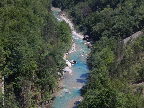 River in the mountain forest