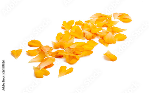 buttercup petals isolated