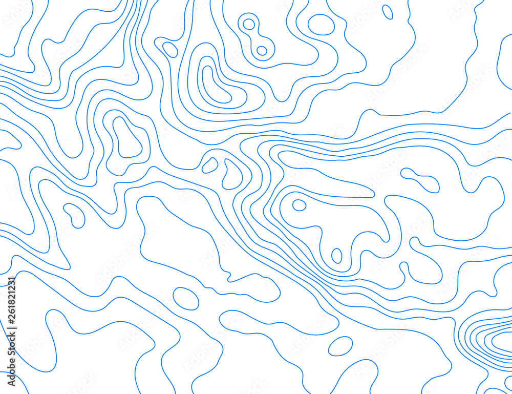 Blue lines of the relief map on a white background. Vector illustration .