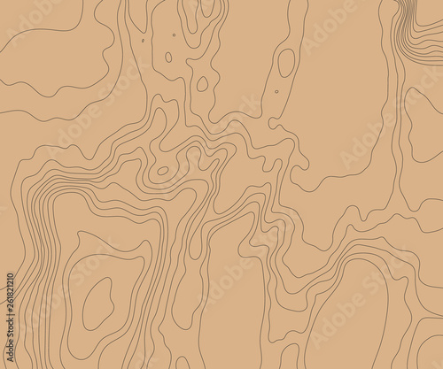 Topographic relief map of the earth. Vector illustration .