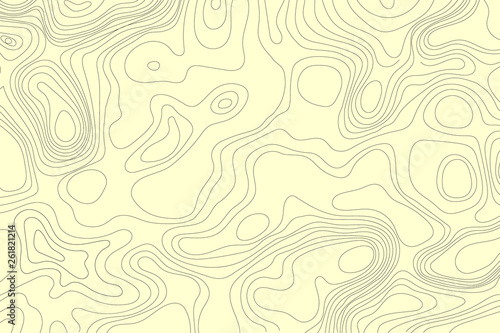 Topographic map of the terrain. Vector illustration ..
