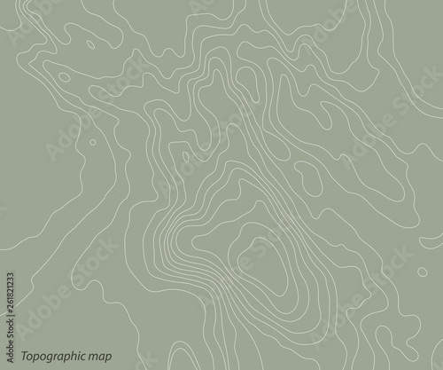 Topography relief map on a green background. Vector illustration .