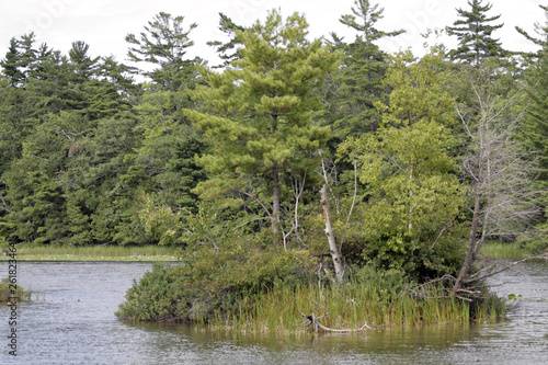 Ludington State Park, Michigan photo