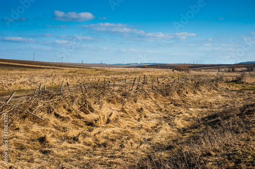Road, old tying, and dry grass on a sunny day in the spring.